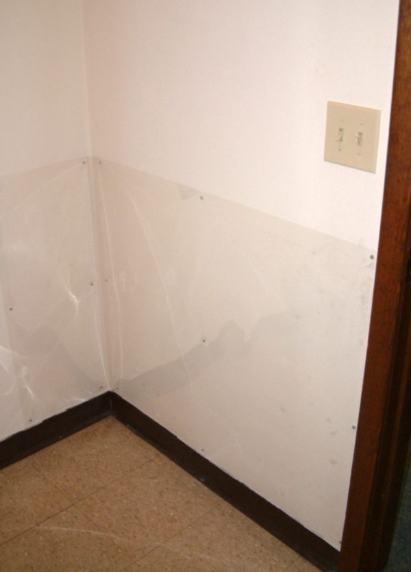 Cardinal Gates, Inc. - Wall Shield for Pets