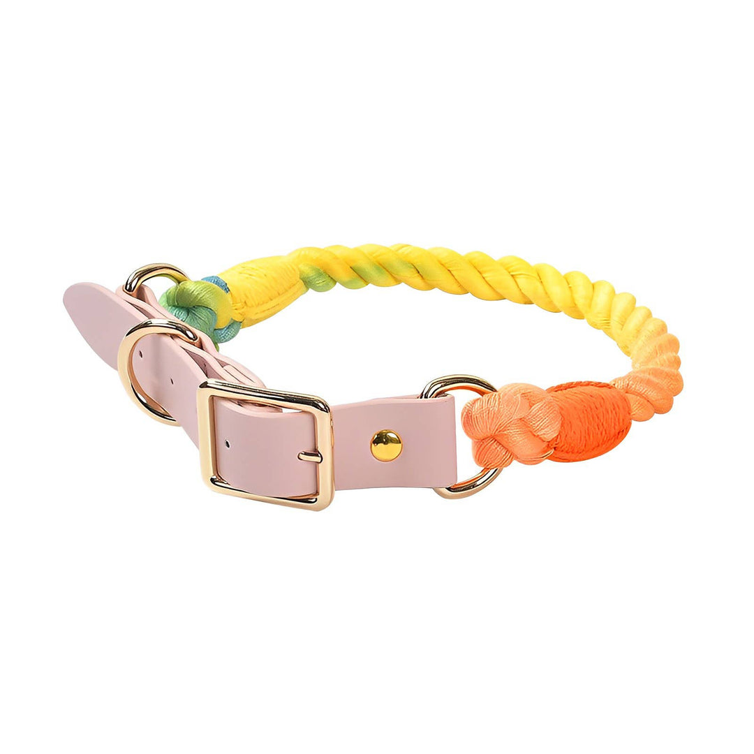 Cheerhunting - Loofie - Rainbow Dog Collar & Leash