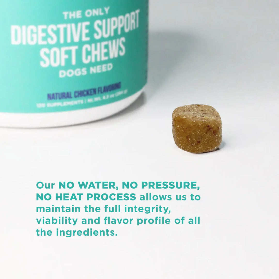 Natural Rapport - The Only Digestive Support Soft Chews Dogs Need