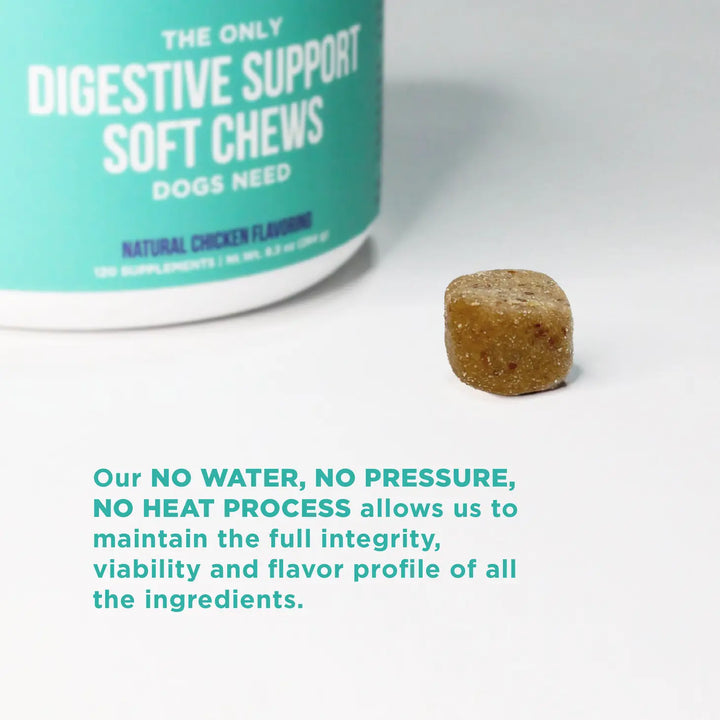 Natural Rapport - The Only Digestive Support Soft Chews Dogs Need