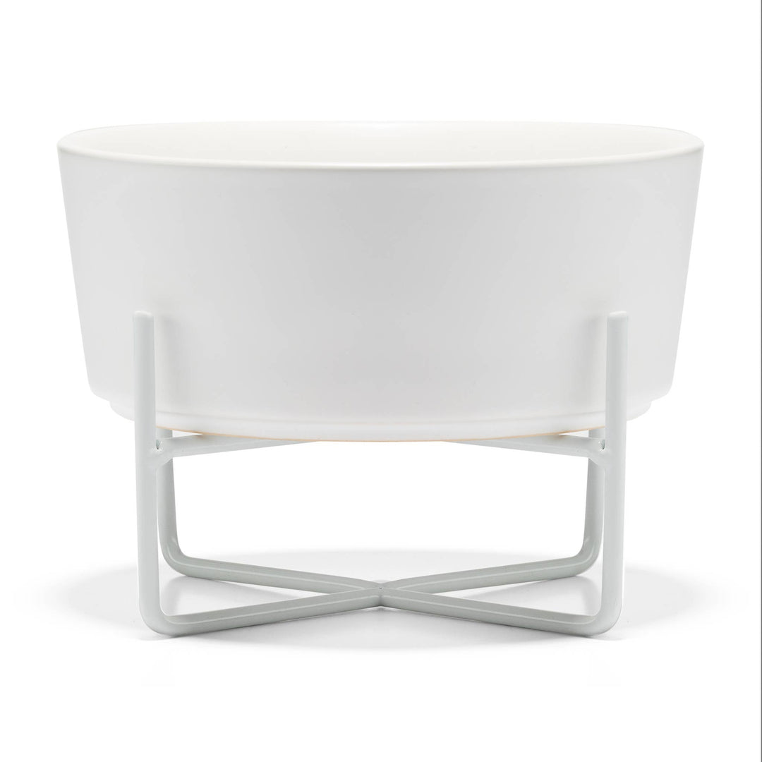 Waggo - Simple Solid Bowl + Dog Bowl Stand