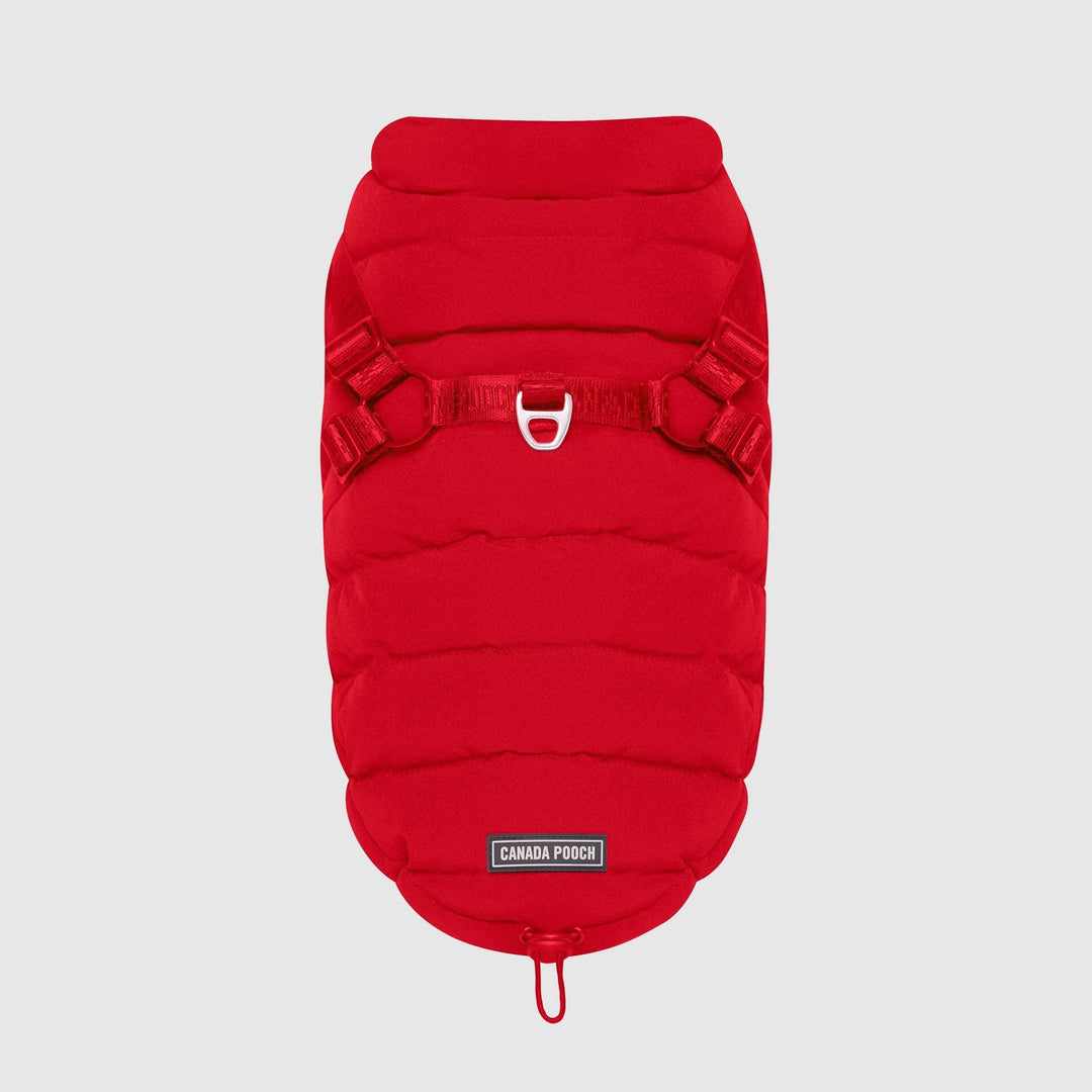 Canada Pooch - Harness Puffer: 12 / Red