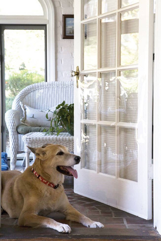 Cardinal Gates, Inc. - The Door Shield – Protection Against Pet Scratches
