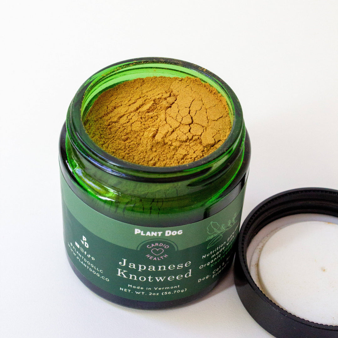 Plant Dog LLC - Japanese Knotweed Powder