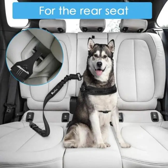 CarLeash - Car Dog Leash (Seat Belt and Child Lock Restraint Versions)