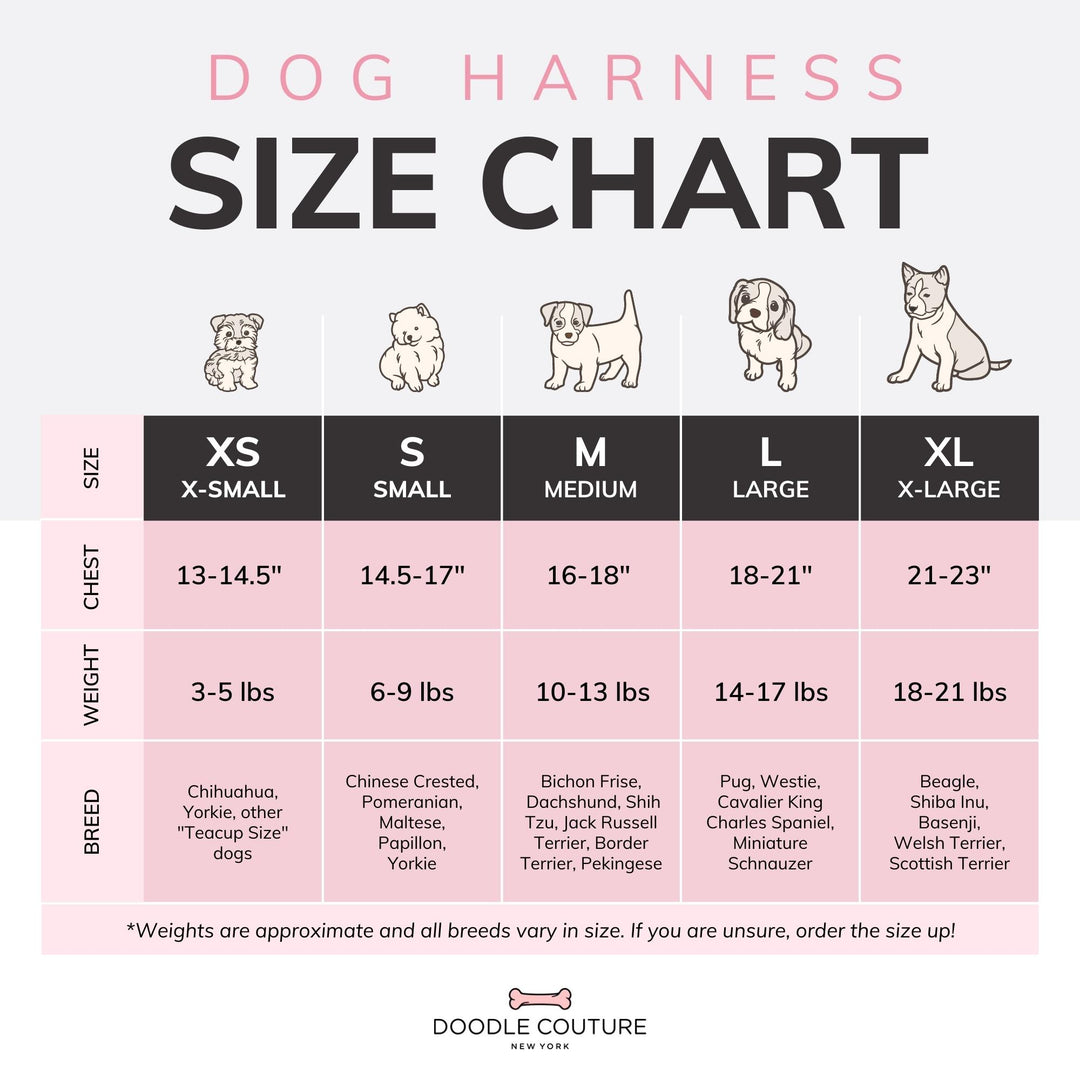 Doodle Couture, New York - Champion Gray Luxury Walking Set