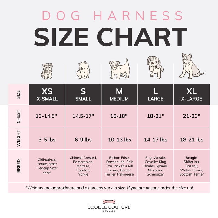 Doodle Couture, New York - Champion Gray Luxury Walking Set