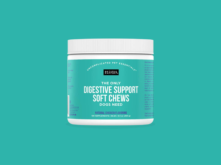Natural Rapport - The Only Digestive Support Soft Chews Dogs Need