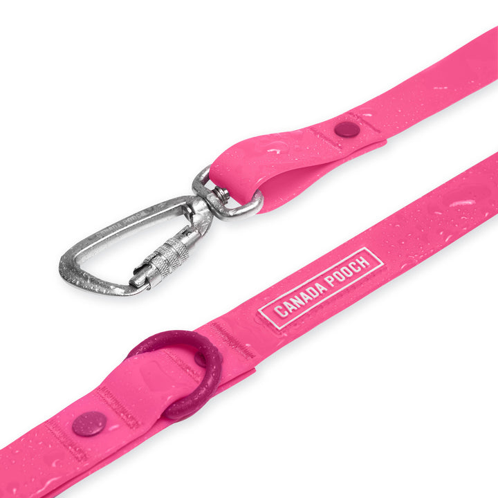 Canada Pooch - Waterproof Dog Leash (Pink): S/M / Pink