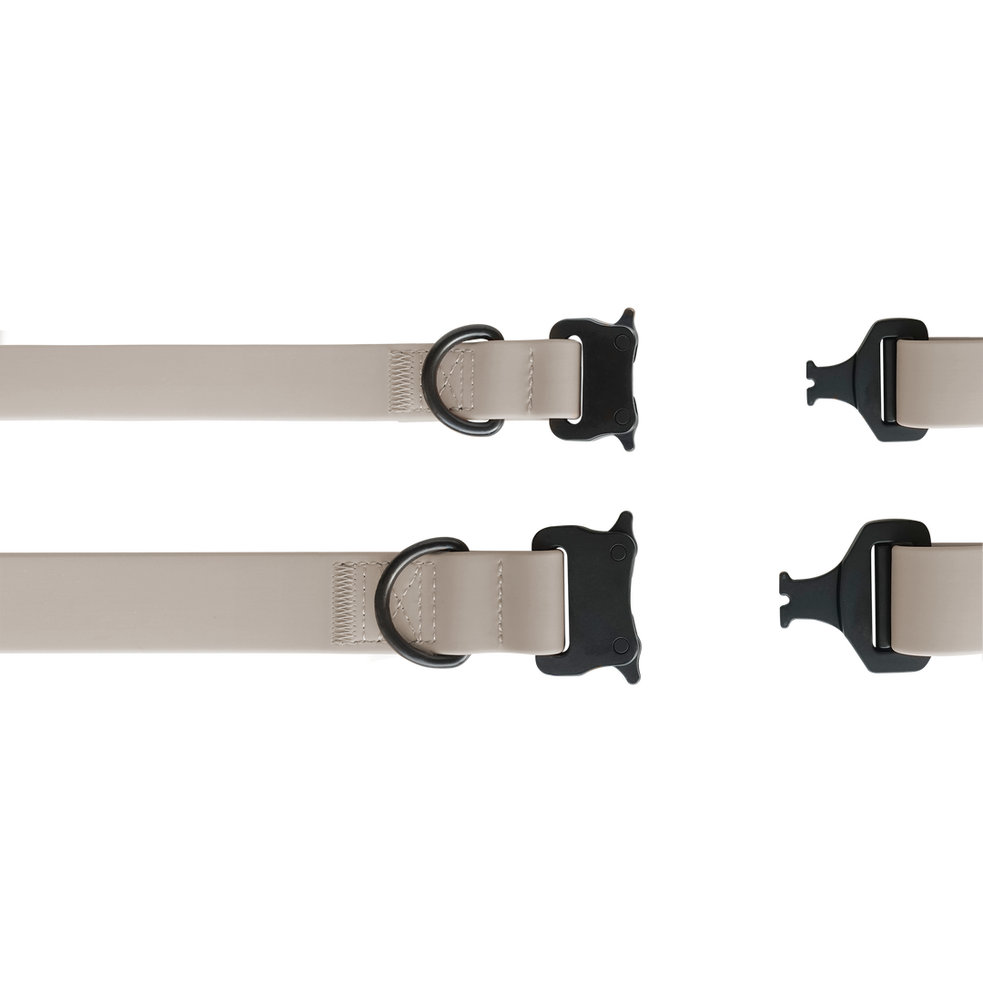 Lambwolf Collective - AVA | quick-release metal buckle collar