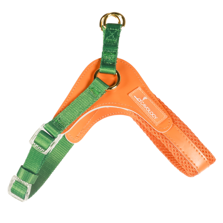 Cavology - DOG HARNESS STEP IN EASY ON MESH MANGO