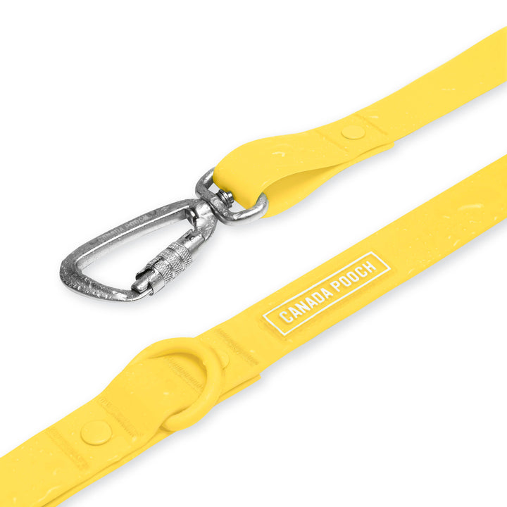 Canada Pooch - Waterproof Dog Leash (Yellow): S/M / Yellow