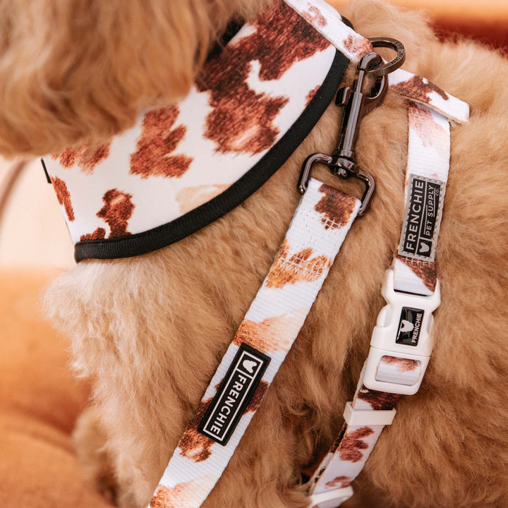 Frenchie - Frenchie Duo Reversible Harness - Moo: M