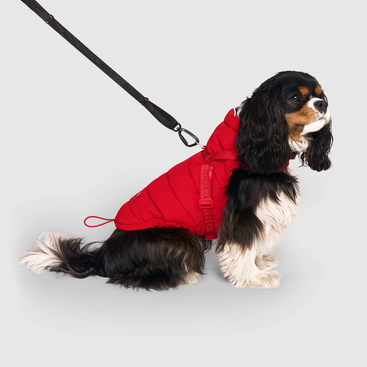 Canada Pooch - Harness Puffer Red