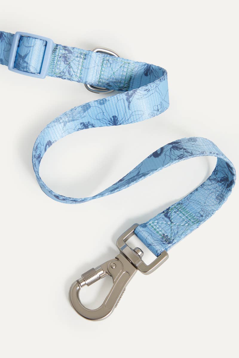 maxbone - Bridgerton x maxbone Walk Set for Dogs: Small