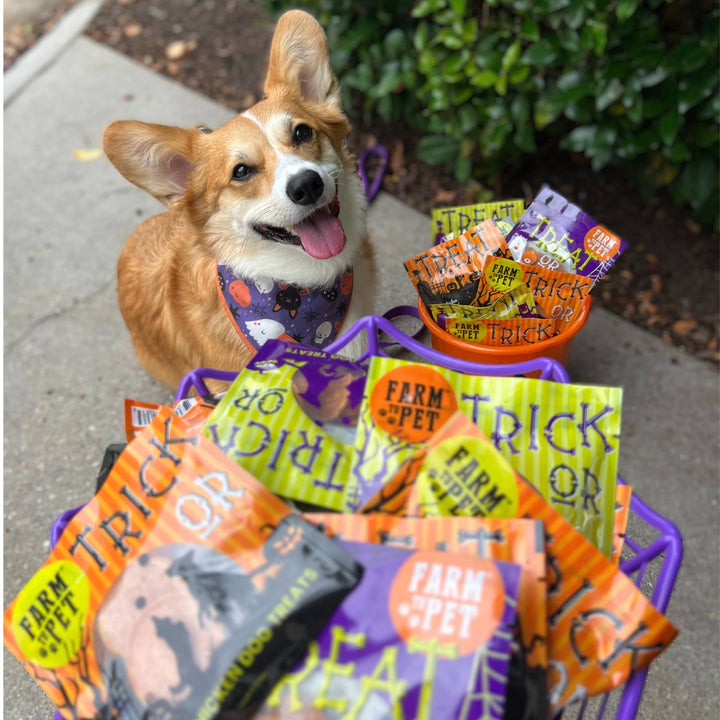 Farm to Pet - Halloween Snack Pack Dog Treat Bundle