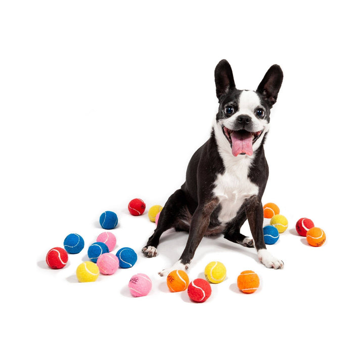 Midlee Designs - Midlee Mini Dog Tennis Balls Bulk 25-Pack (Assorted Colors): Non-Squeaky