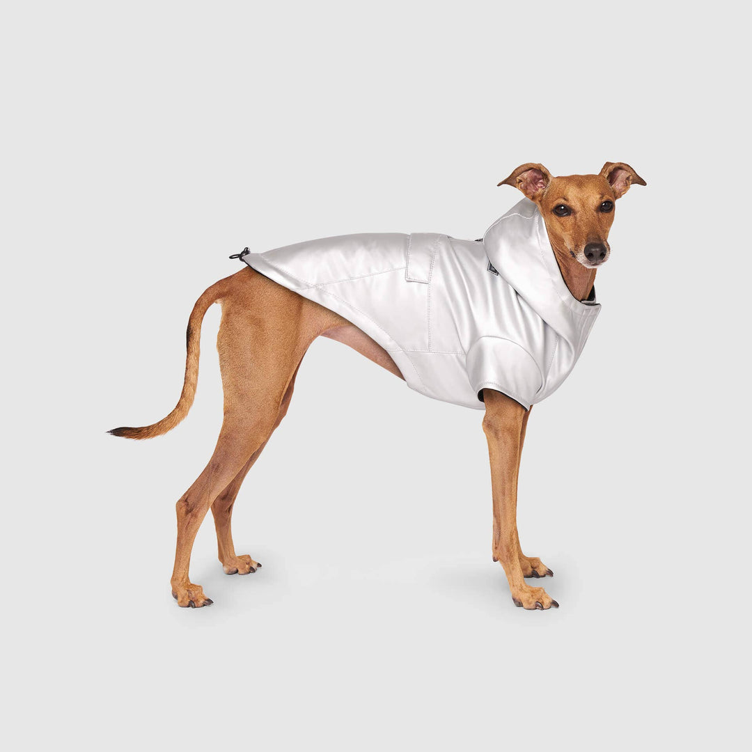 Canada Pooch - Cold Front Raincoat: Orange / 10