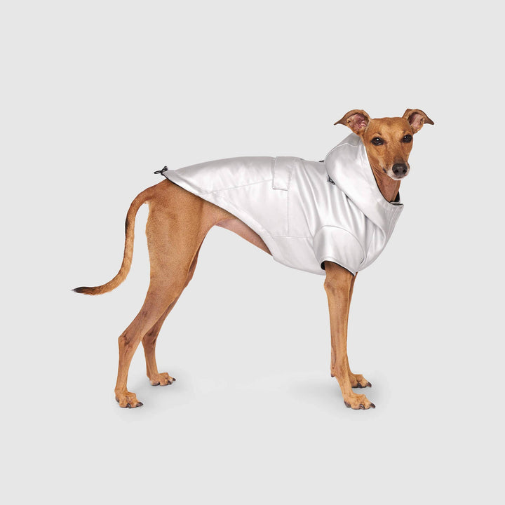 Canada Pooch - Cold Front Raincoat Orange