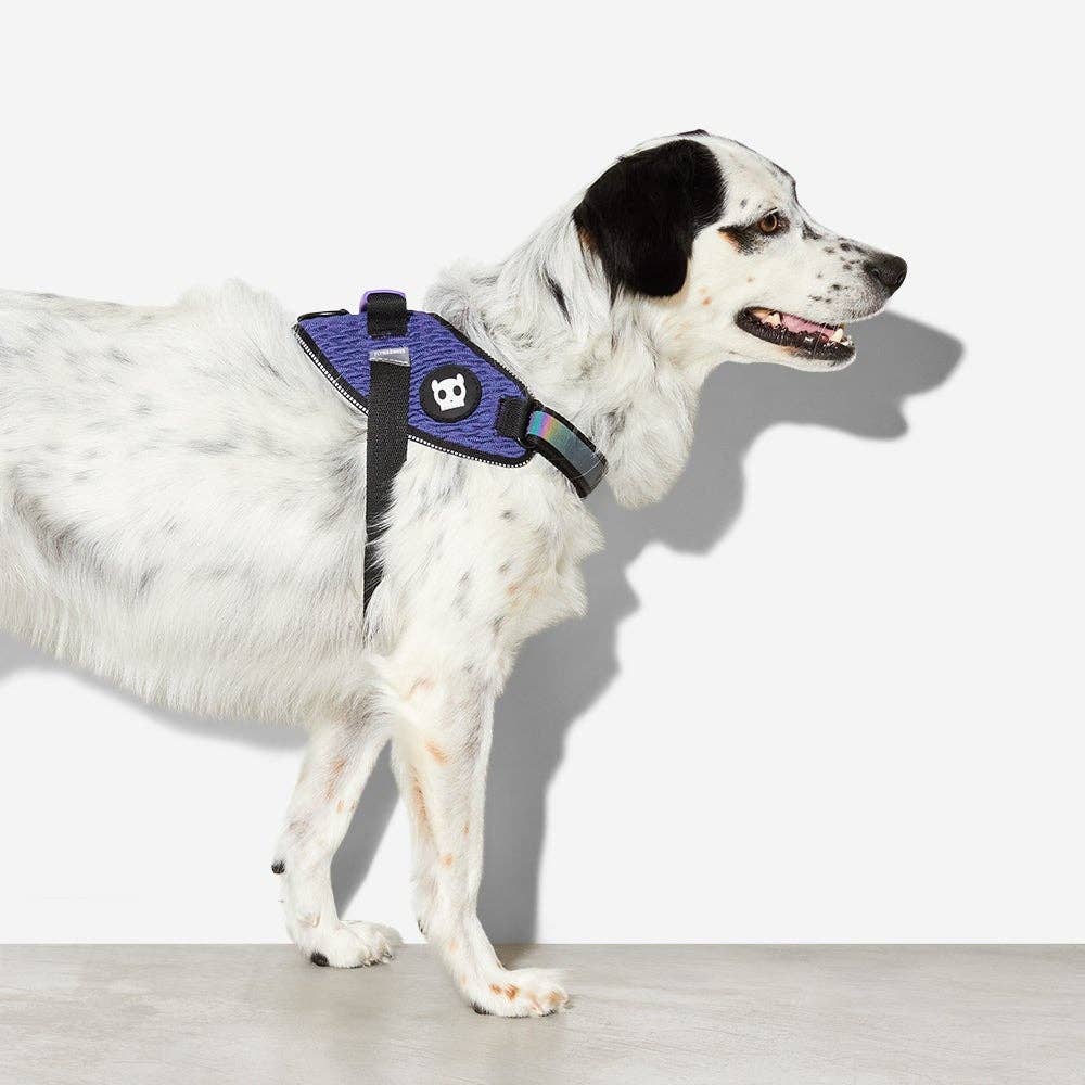 Zee.Dog - Wicked | FlyHarness: Size 1