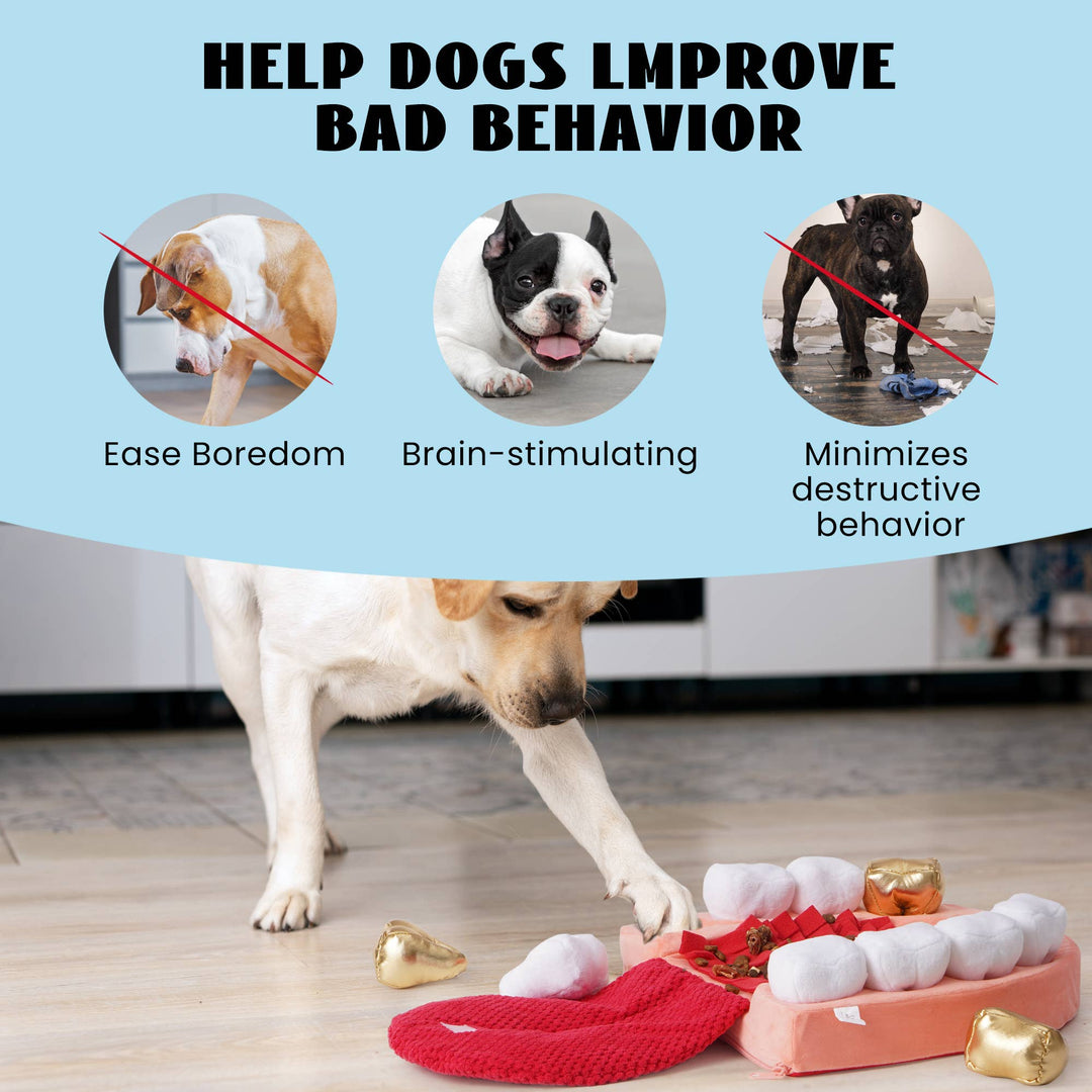 Nocciola - Nocciola Interactive Teeth Dog Toys – Enrichment Puzzle Funny Toys for Small to Large Dogs