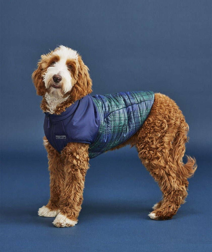 Found My Animal - Vineyard Vines X Fma Pet Puffer Jacket, Blackwatch Nautical: L