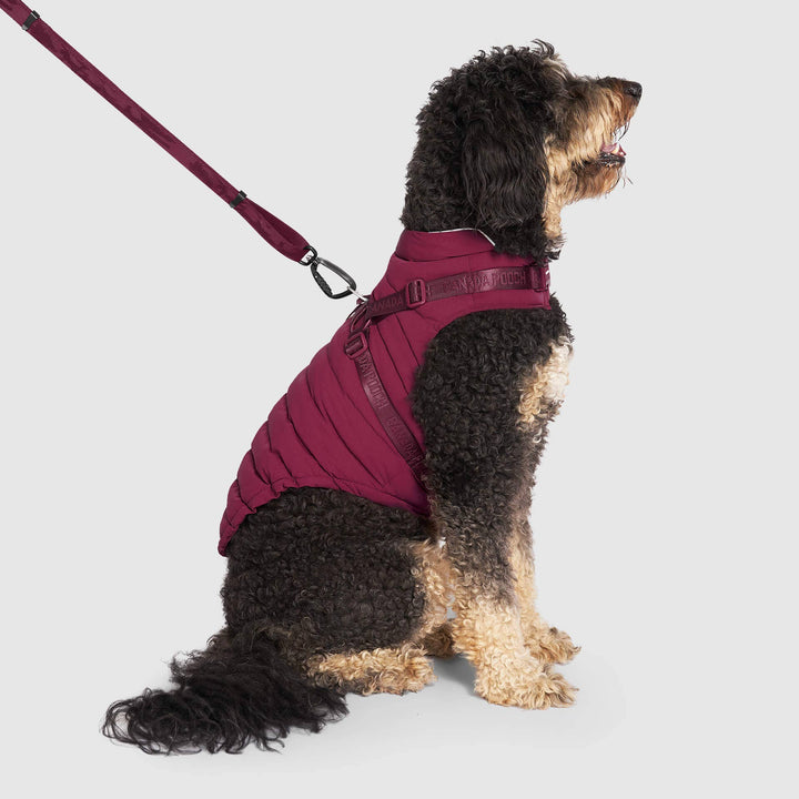 Canada Pooch - Harness Puffer Red