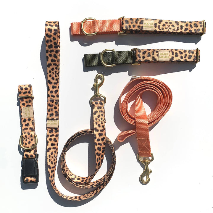 Major Darling - Leopard Print with Peach Martingale Collar: Medium