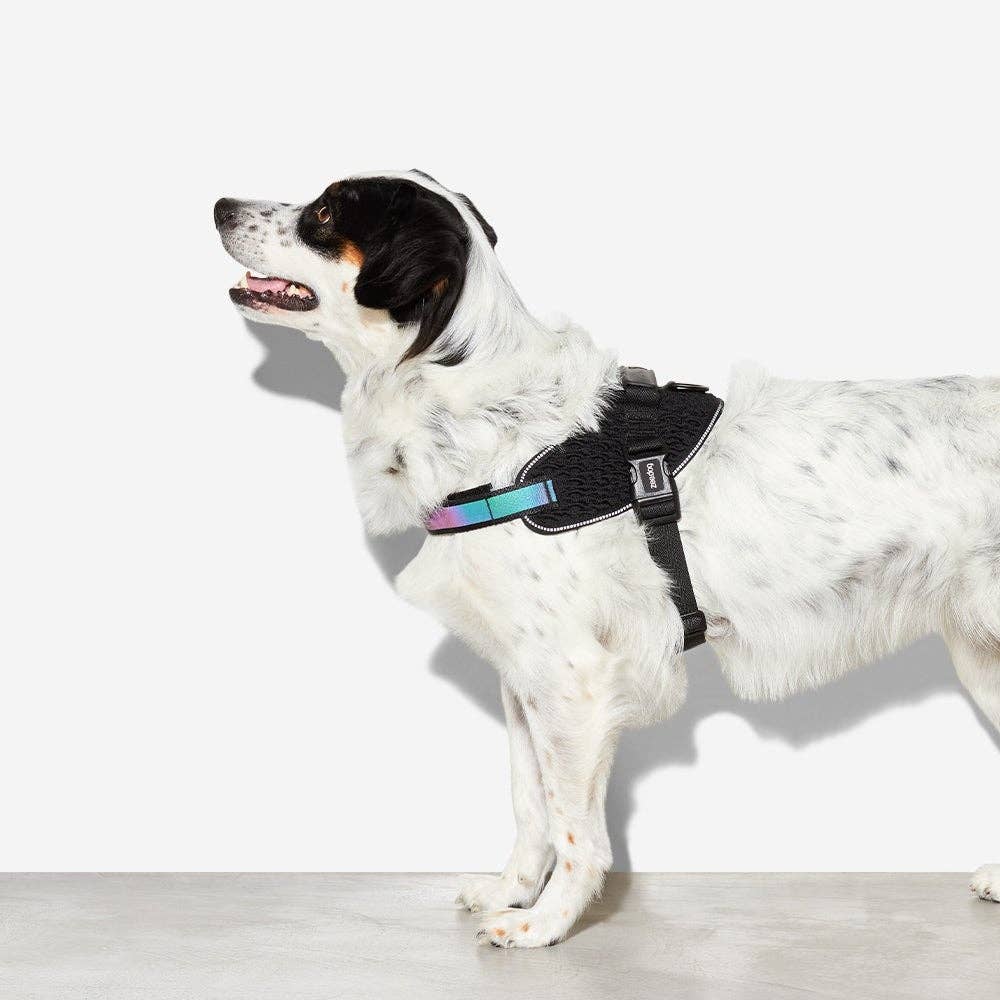 Zee.Dog - Gotham | FlyHarness: Size 4