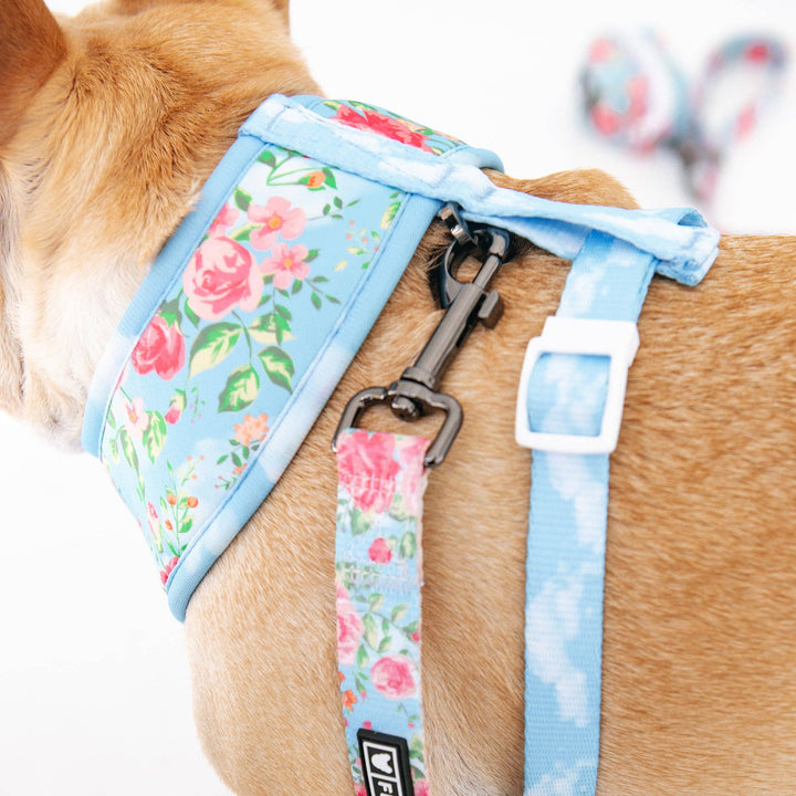 Frenchie - Frenchie Duo Reversible Harness - Secret Garden: L