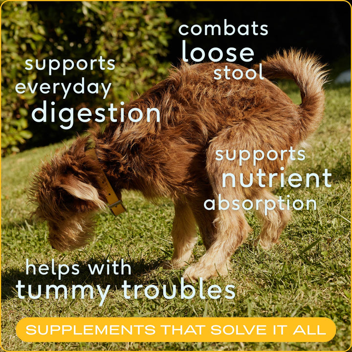 Native Pet - Organic Pumpkin Fiber Powder, Digestive Supplement for Dogs: 8 oz