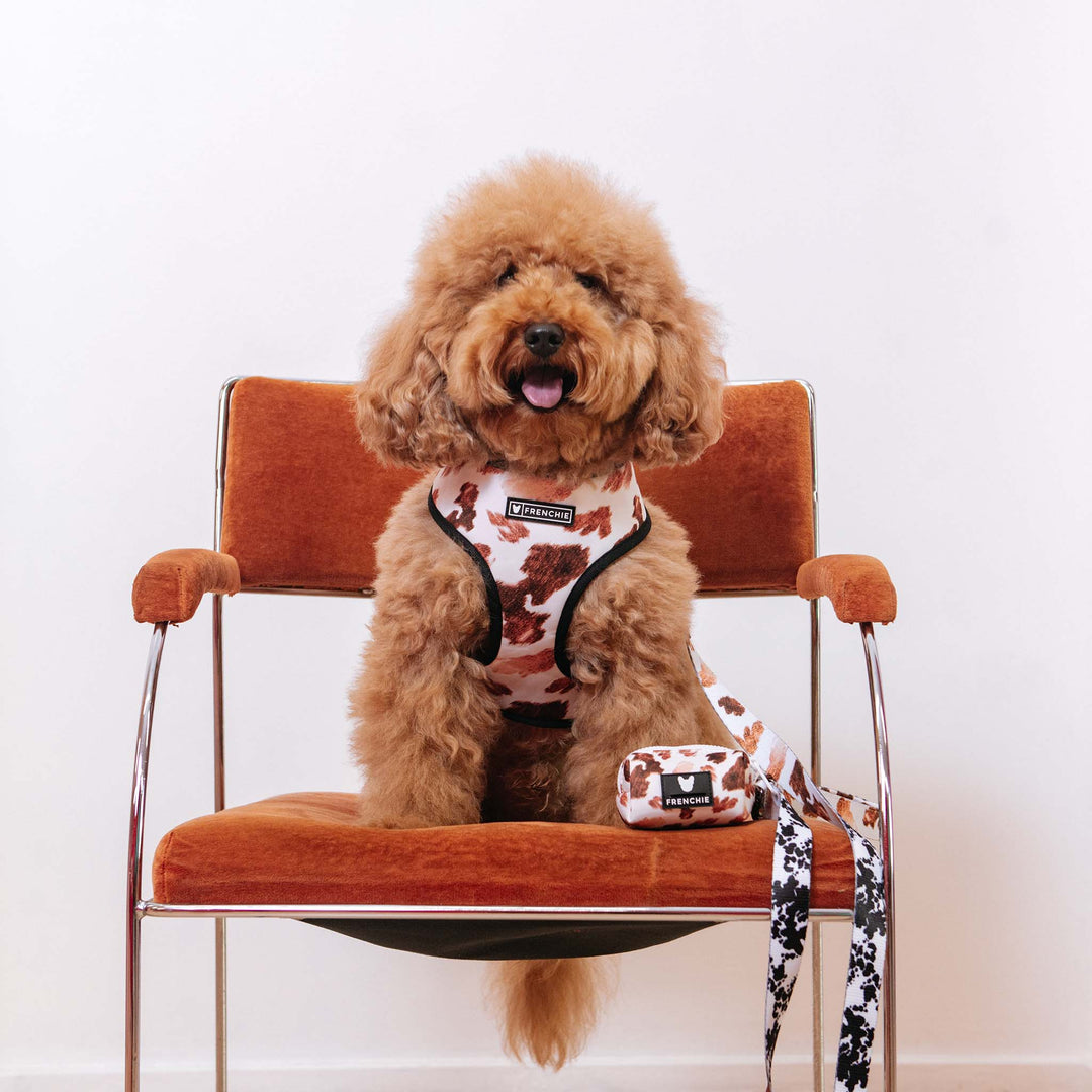 Frenchie - Frenchie Duo Reversible Harness - Moo: M