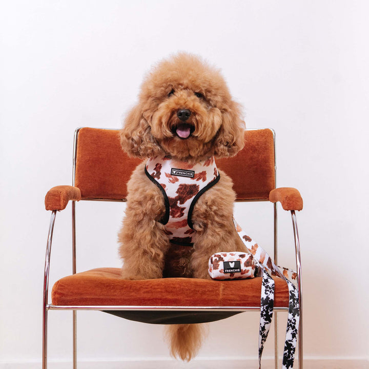 Frenchie - Frenchie Duo Reversible Harness - Moo: M