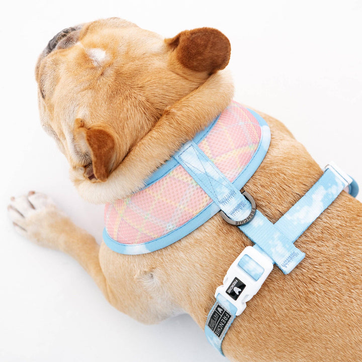 Frenchie - Frenchie Duo Reversible Harness - Secret Garden: M