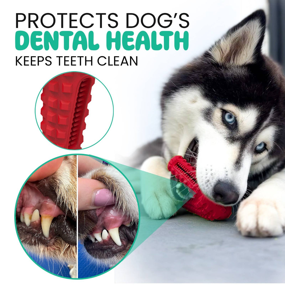 TOME DOG TOYS - SUPER DOG GIFT 3-Pack Dog Toys for Aggressive Chewers