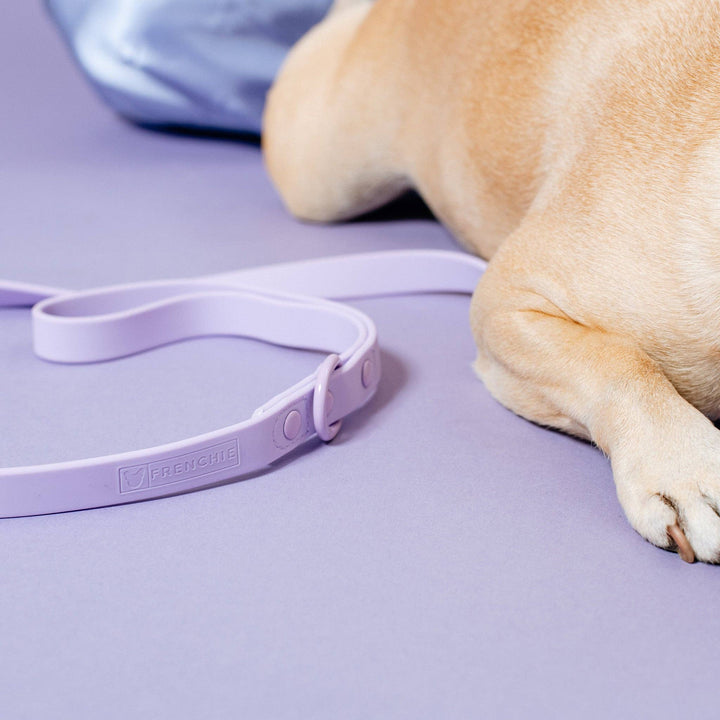 Frenchie - Frenchie Waterproof Leash - Violet: OS