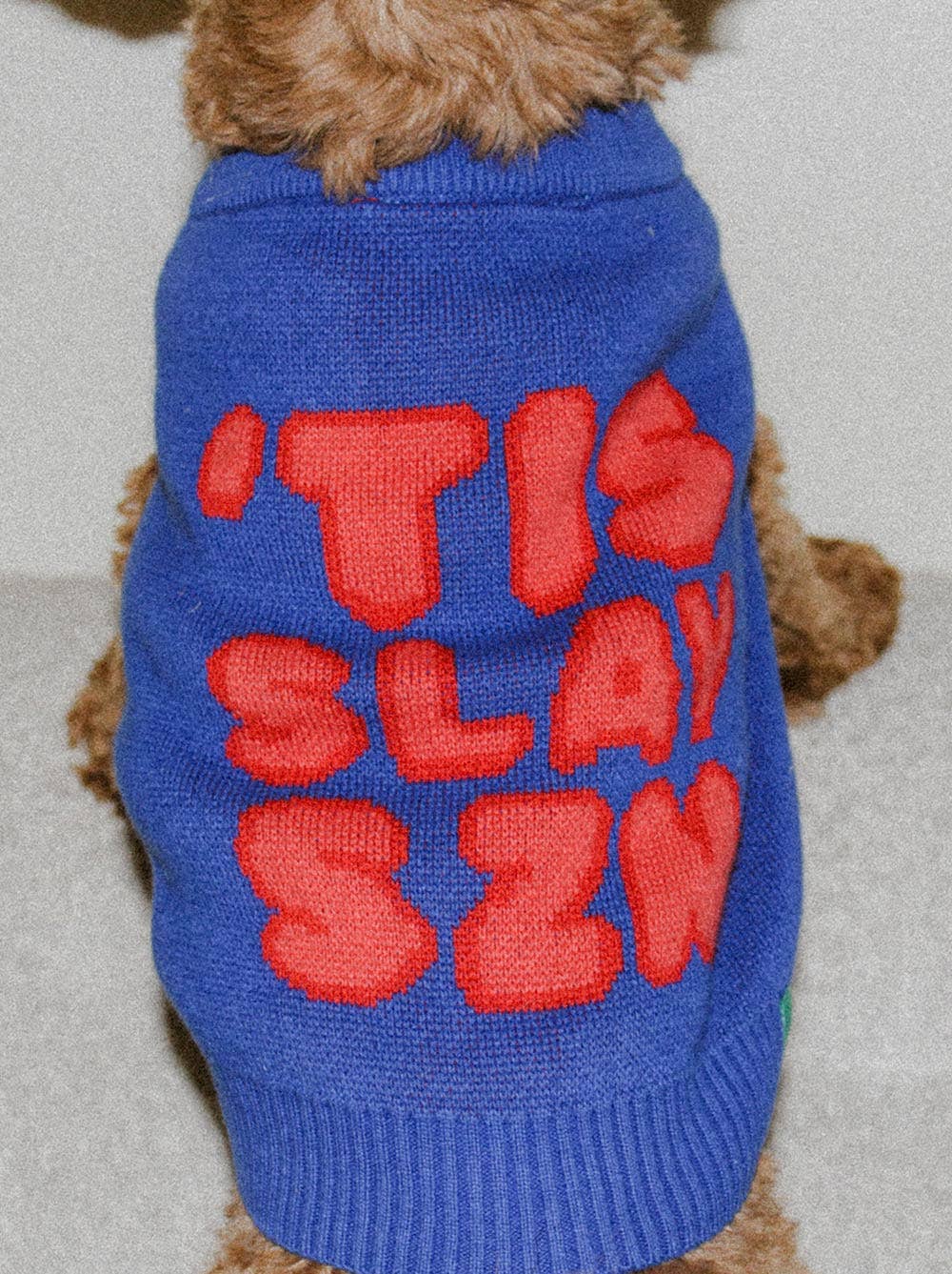 Good Thomas - 'Tis Slay Szn Sweater: Dog / S (11-16lb dog)