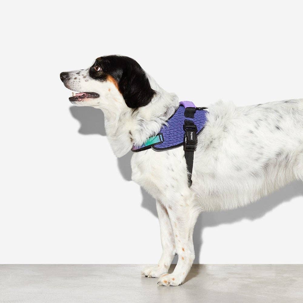 Zee.Dog - Wicked | FlyHarness: Size 1