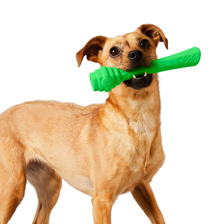 Pet Palette Distribution - Project Hive Tropical Coconut Scent Hive Fetch Stick Green