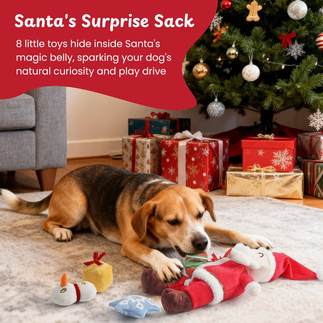 Nocciola - Nocciola Hide and Seek Christmas Santa Dog Toys