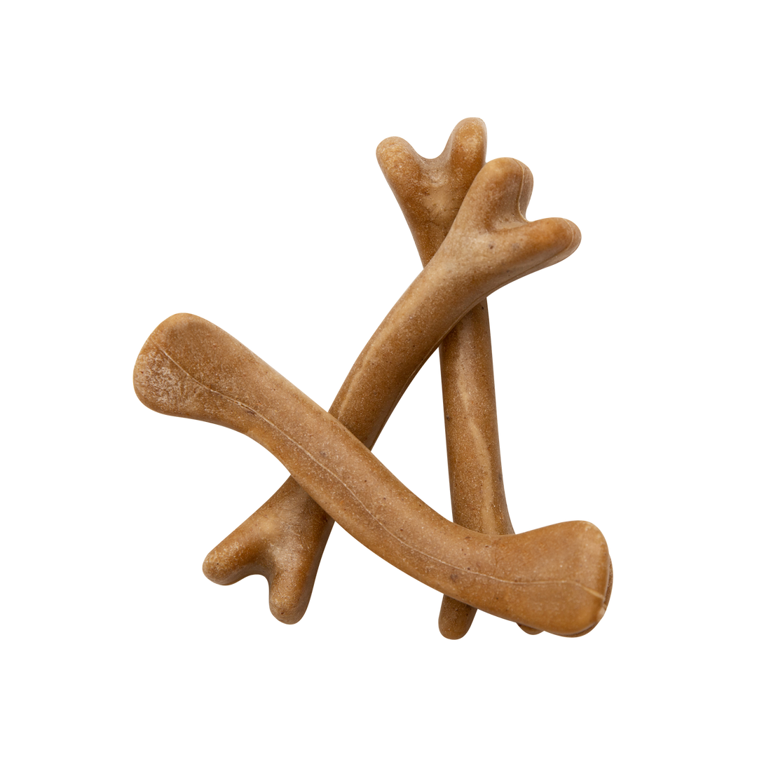 Health Extension Pet Care - Cheese Flavor Dental Bones: 3-pack