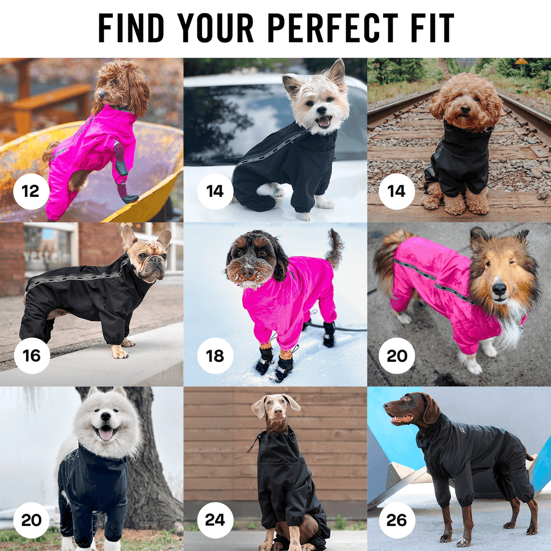 Canada Pooch - The Slush Suit: 18 / Black