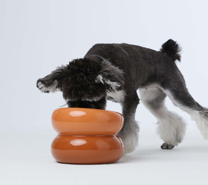 PEHOM - Soufflé Pet Bowl - Amber Orange