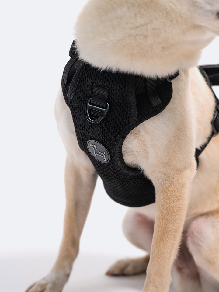 RIFRUF - Commuter Harness: Black / XS