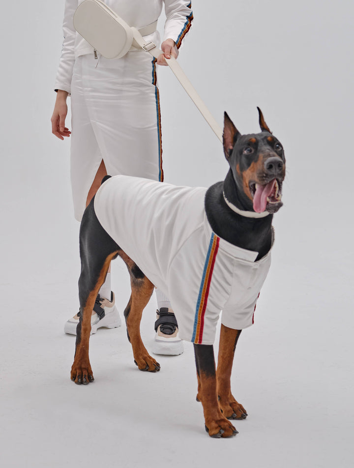 PEHOM - Pet Velvet Striped Jacket: S