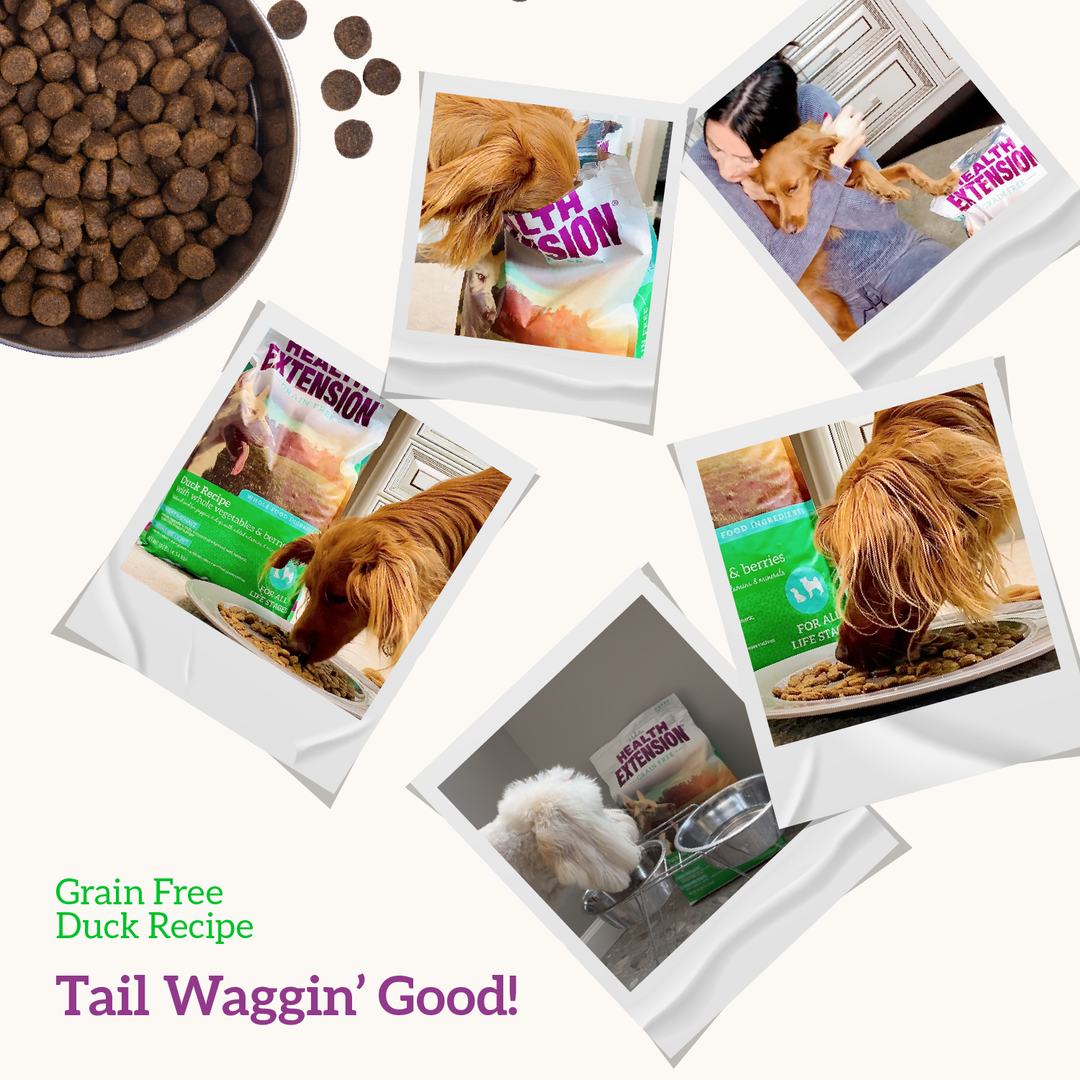 Health Extension Pet Care - Grain Free Duck & Sweet Potato Recipe: 4 lbs