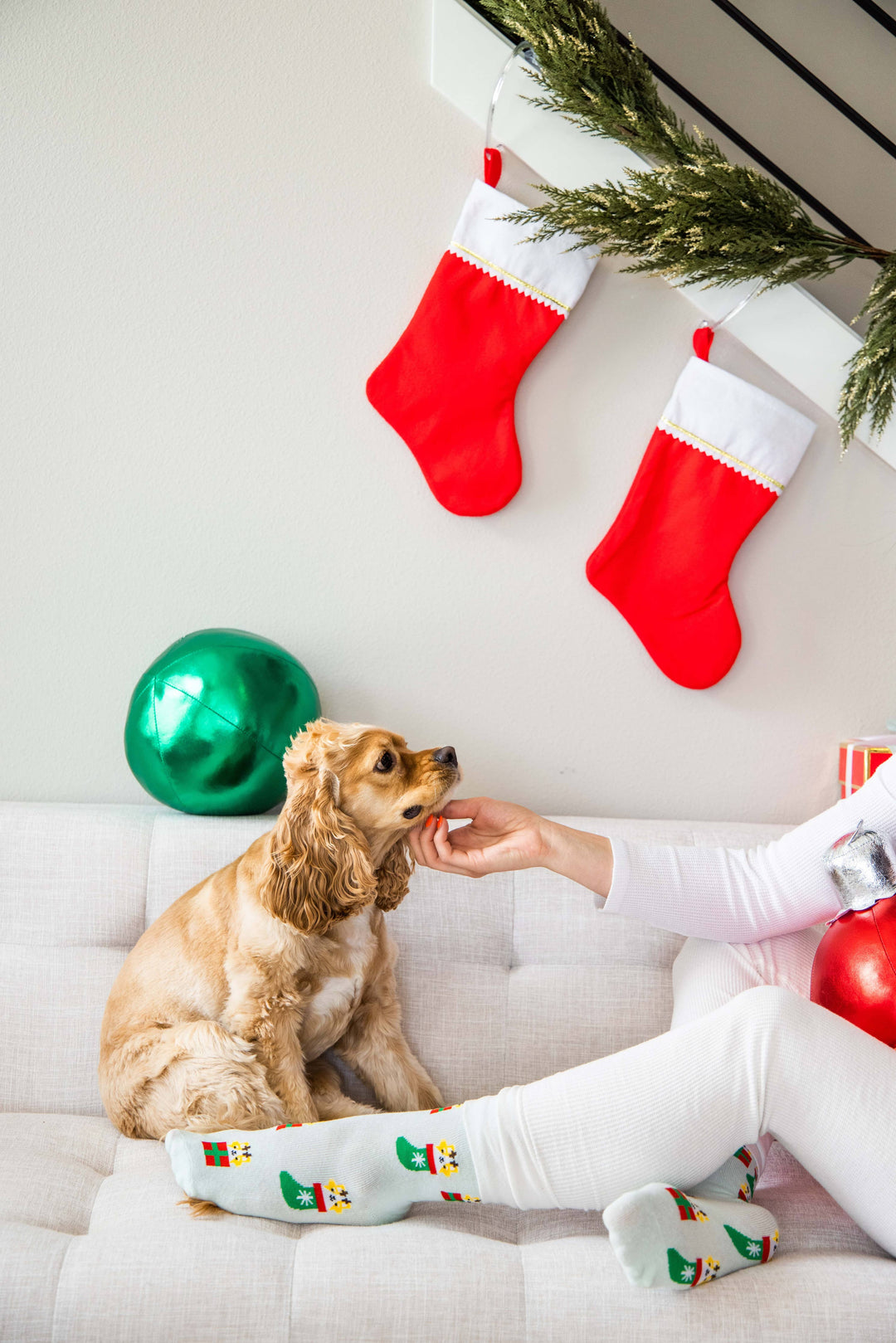 Pet Palette Distribution - Pearhead Corgi Holiday Socks Green One Size