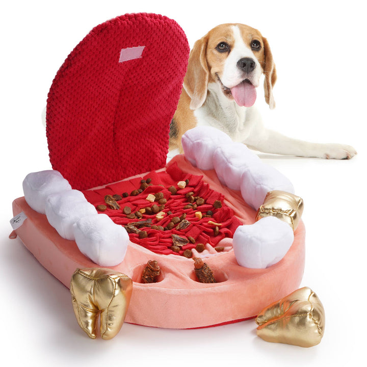 Nocciola - Nocciola Interactive Teeth Dog Toys – Enrichment Puzzle Funny Toys for Small to Large Dogs