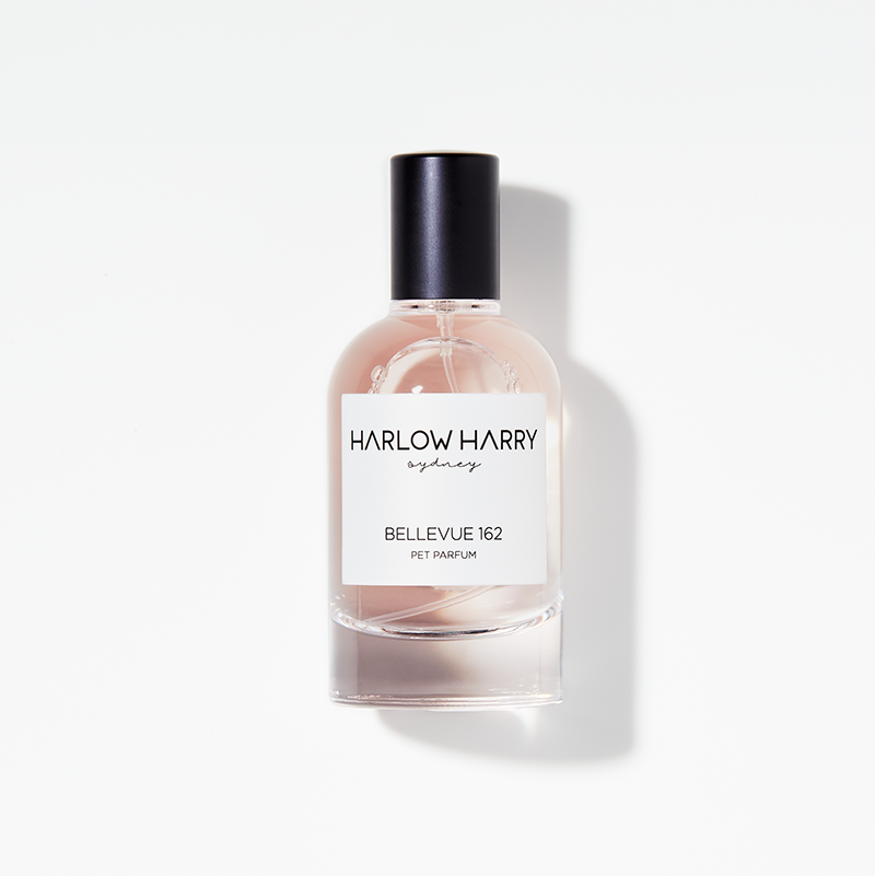 HARLOW HARRY - Dog Perfume | Bellevue 162: 50mL