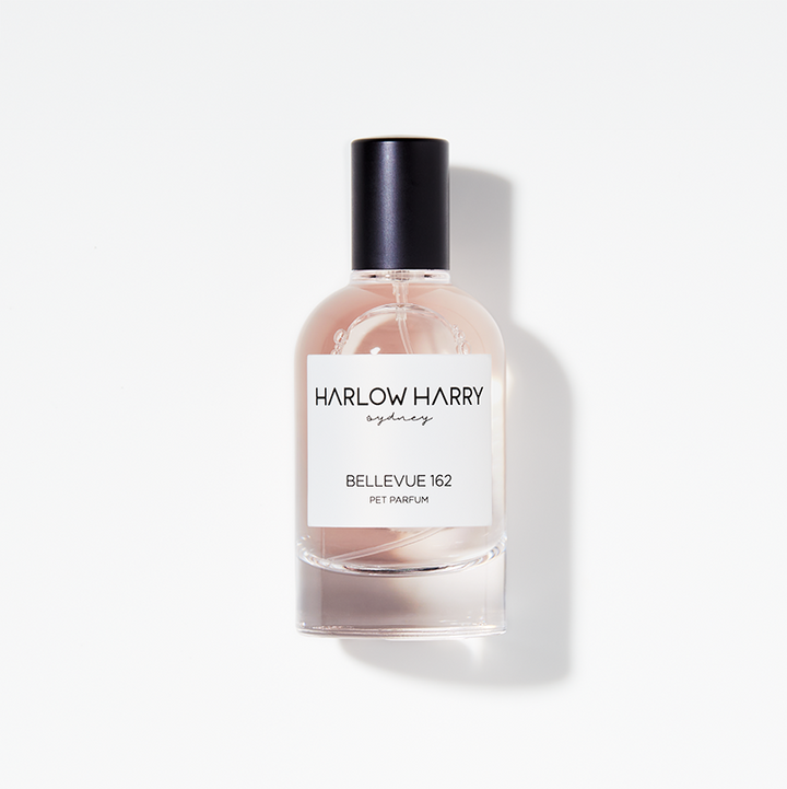 HARLOW HARRY - Dog Perfume | Bellevue 162: 50mL